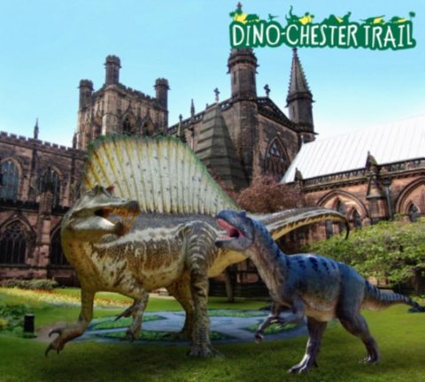Dino Chester Trail