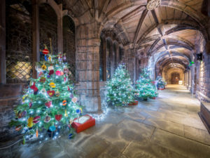 CHRISTMAS TREE FESTIVAL LIGHTS UP CHESTER CATHEDRAL CLOISTERS FOR A SIXTH MAGNIFICENT YEAR