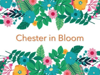 Chester in Bloom