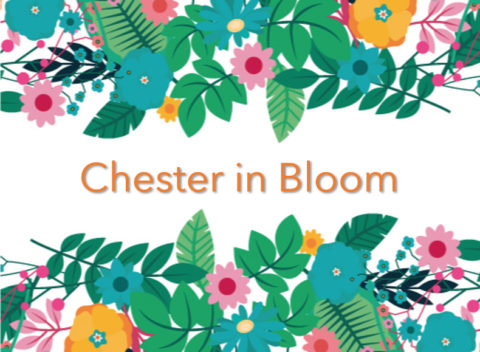 Chester in Bloom