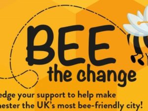 Pledge to BEE THE CHANGE