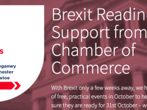 Local Chamber of Commerce Funds Free Businesses Brexit Bootcamps
