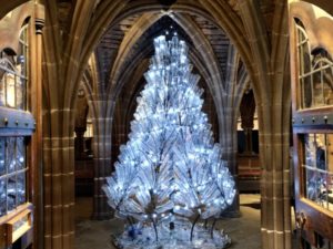A Christmas Tree for Life, not just for Christmas at Chester Cathedral