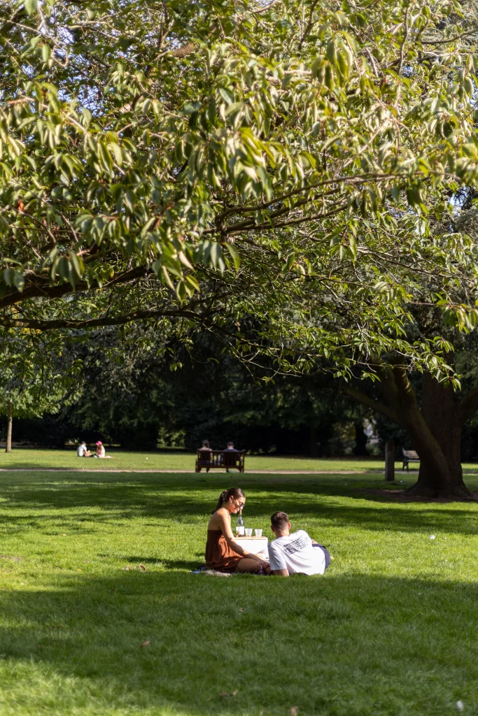 A Couple sitting under a tree in Grosvenor Park