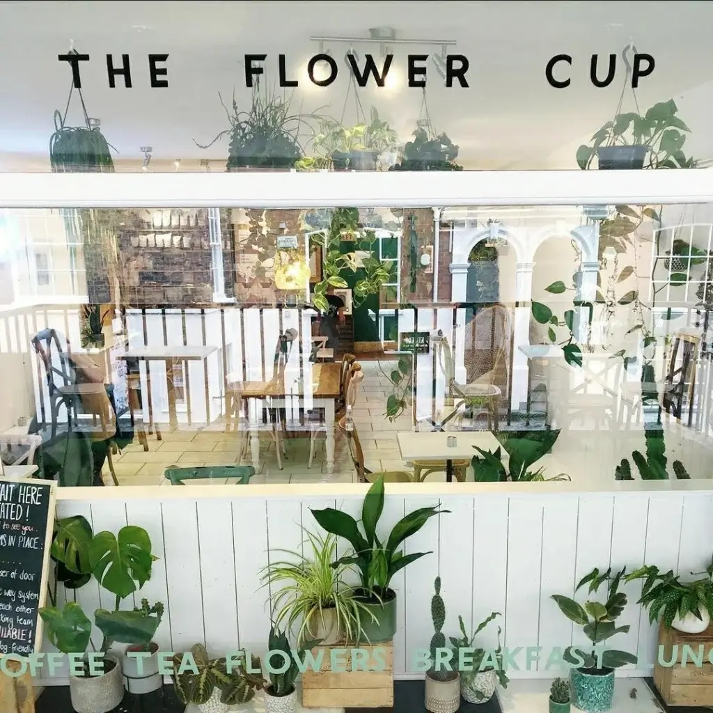 a shop front window with the word the flower cup and plants surrounding